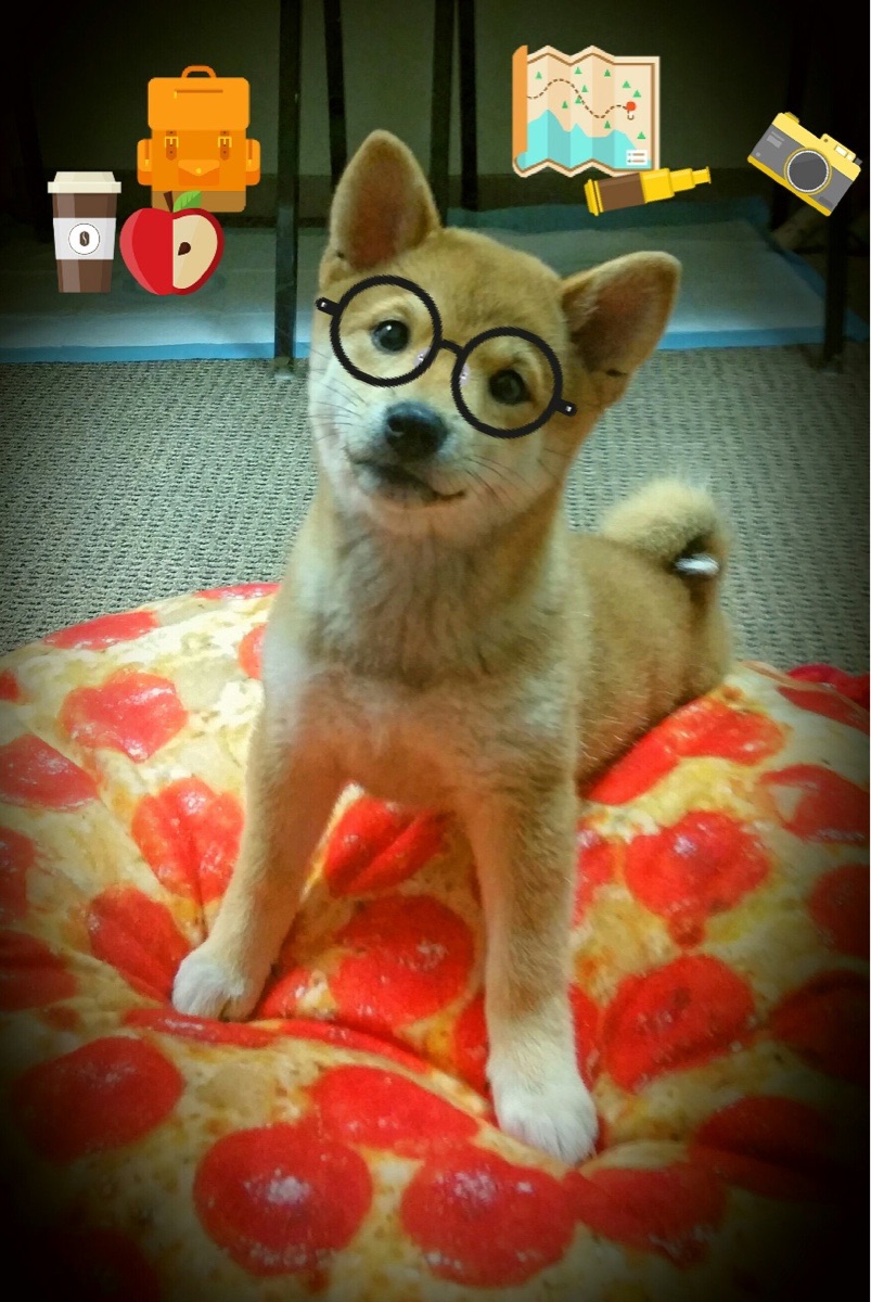 _职业巡回赛积分榜更新，竞争愈发激烈_，巡回赛怎么打