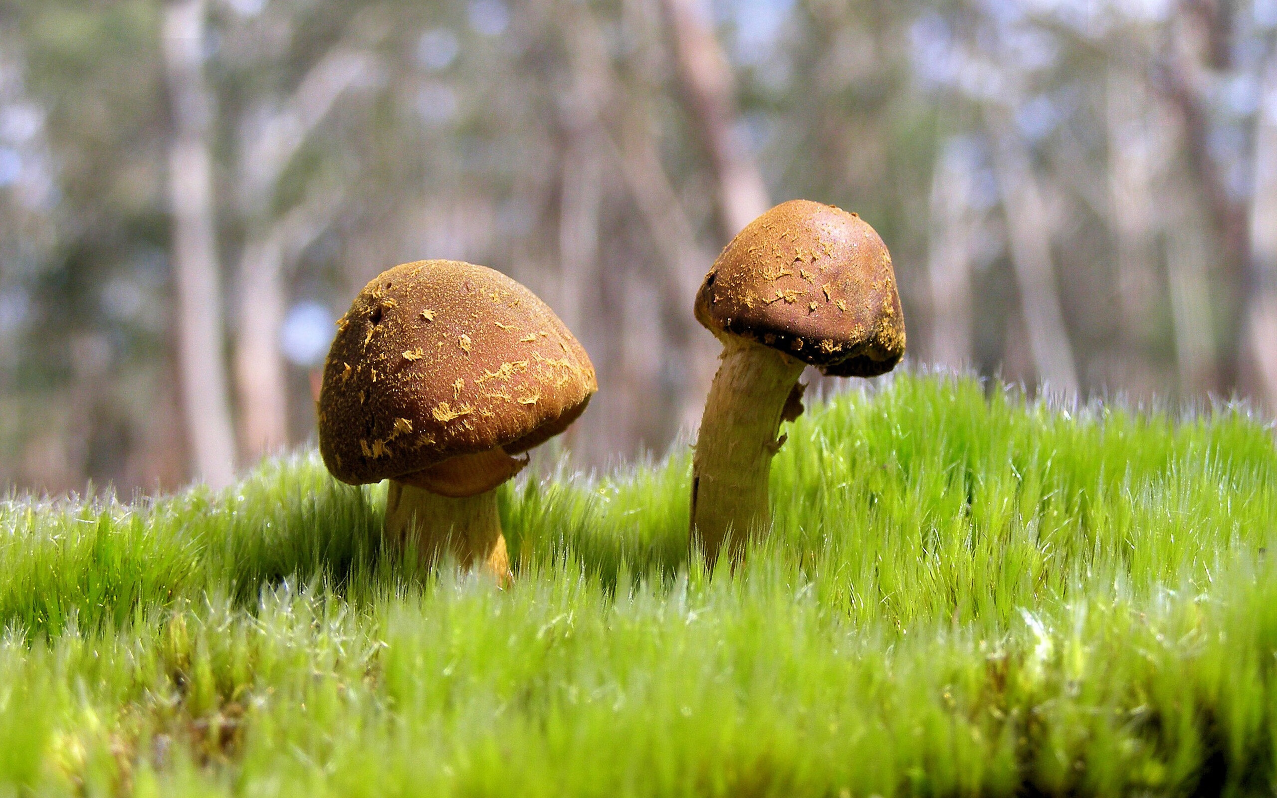 “逆风而行：车手逆转命运的精彩瞬间”，逆风行驶的小车怎么做超简单的做法