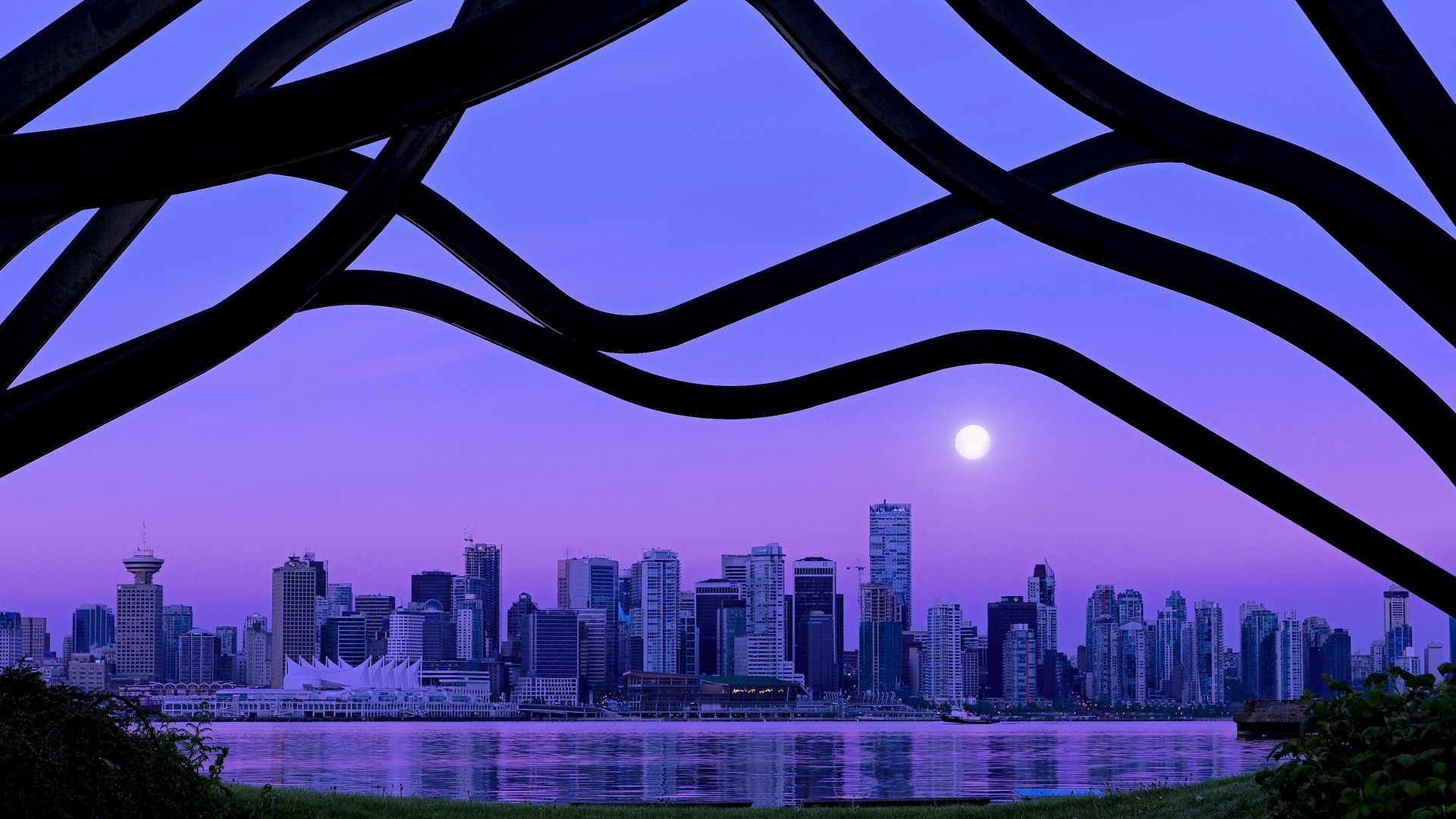 世界马术锦标赛中国骑手表现优异,跻身前十,世界马术冠军