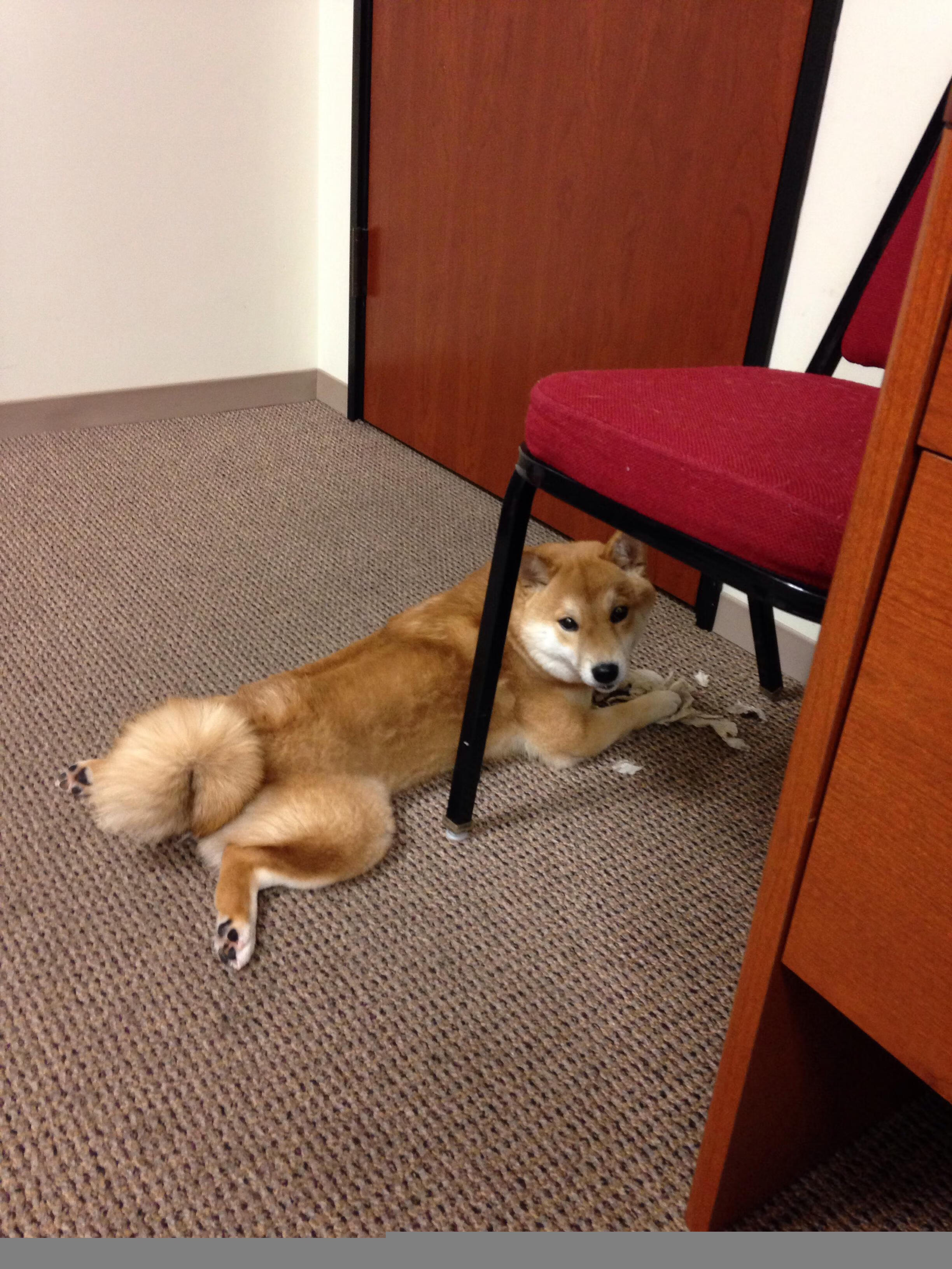 利物浦与巴黎圣日耳曼战平,出线悬念增强,利物浦和巴黎