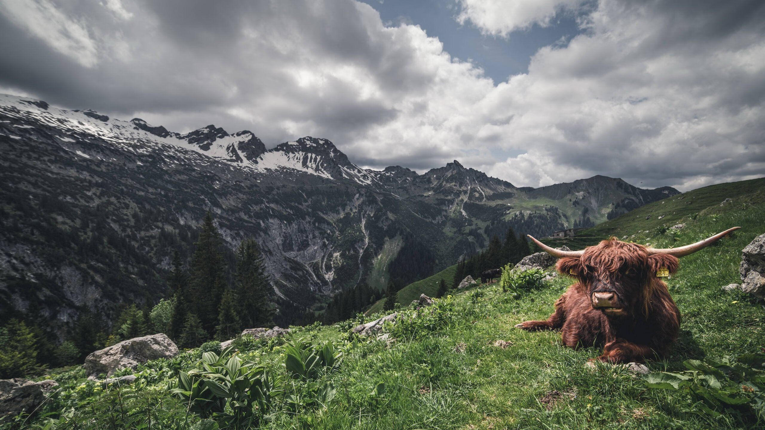 未来欧冠“天王”榜单：谁将成为下一个足球王者？，2025年欧冠