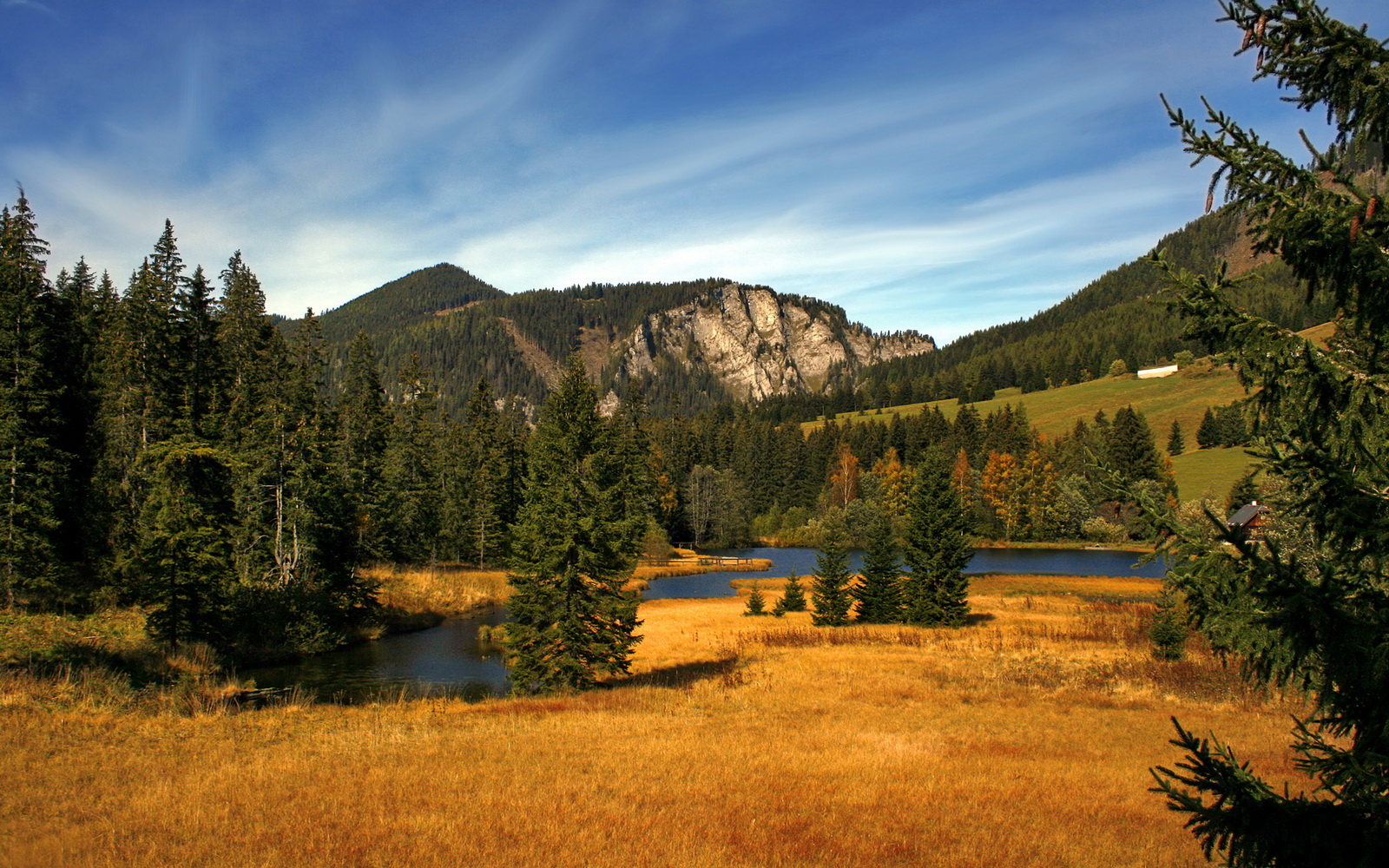 活塞后卫新秀成最年轻得分破40纪录保持者，活塞队新秀2020