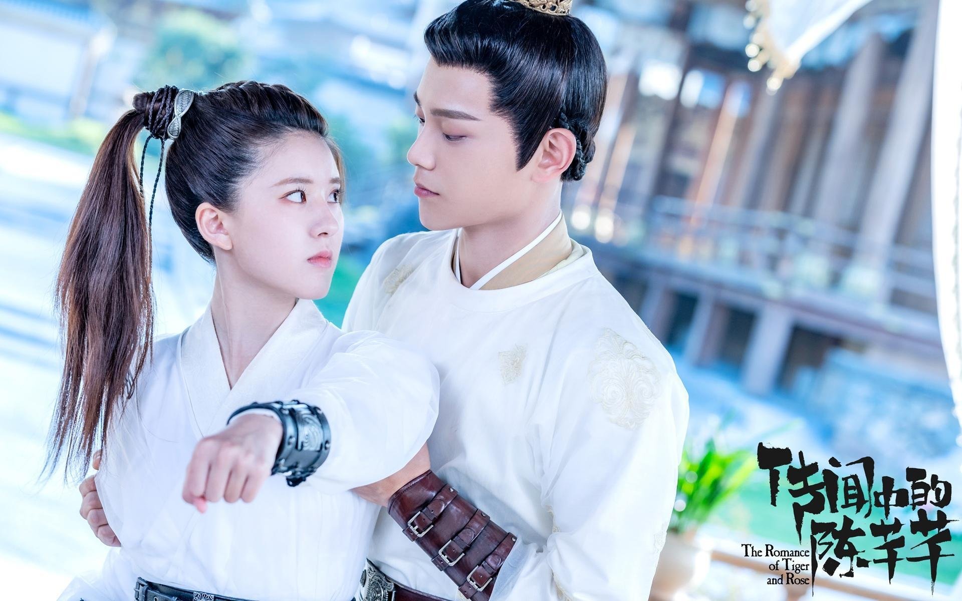 赛场突发事件：意外场面引发热议，比赛现场突发情况应对