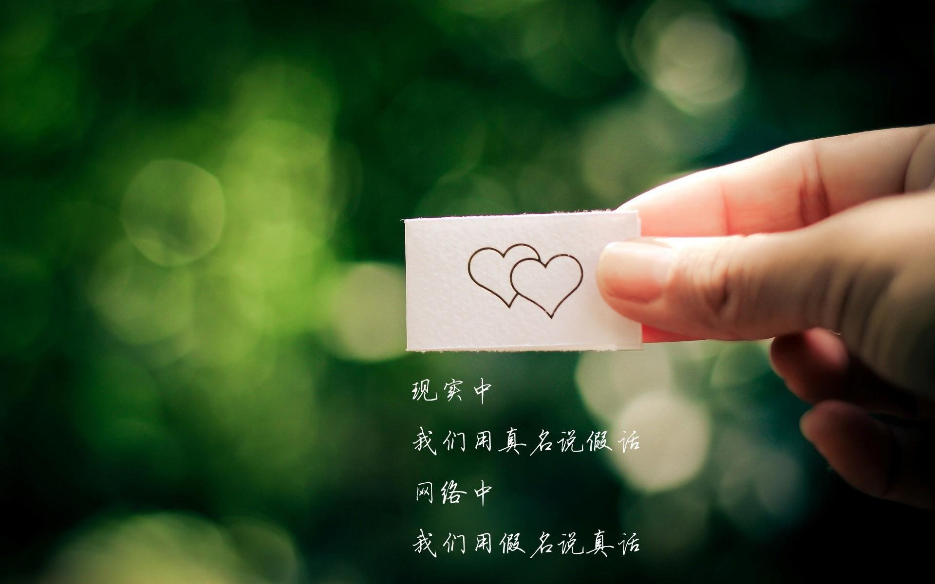 逆境中的“铁血战士”：球队的坚韧精神，关于铁血战士