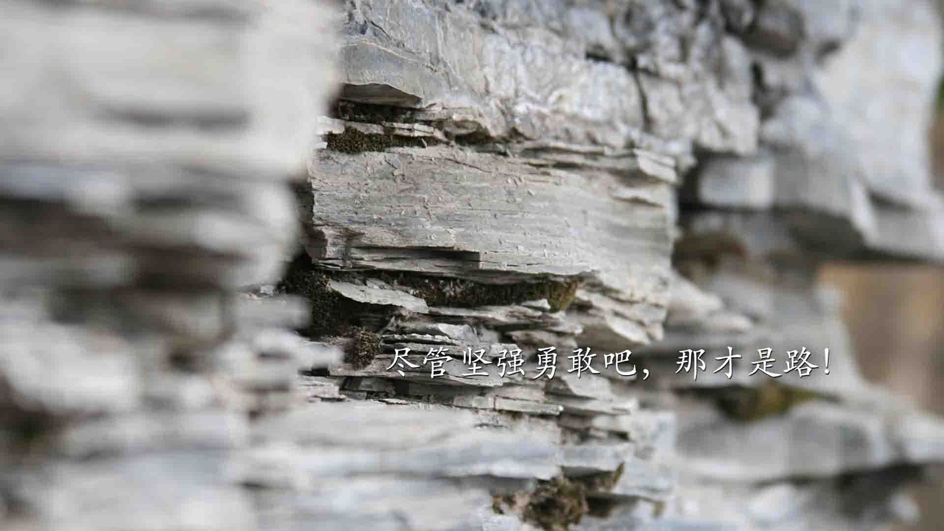 青训“互联网+++”跨界融合全面落地，行业数字化转型开启新篇章