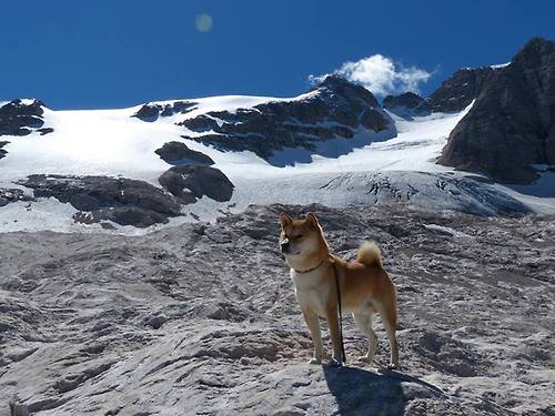 AC米兰客场不敌，再次遭遇失利，ac米兰经典比赛