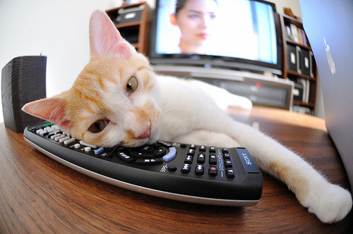 AC米兰客场击败尤文图斯豪取意甲积分榜首，ac米兰胜尤文图斯