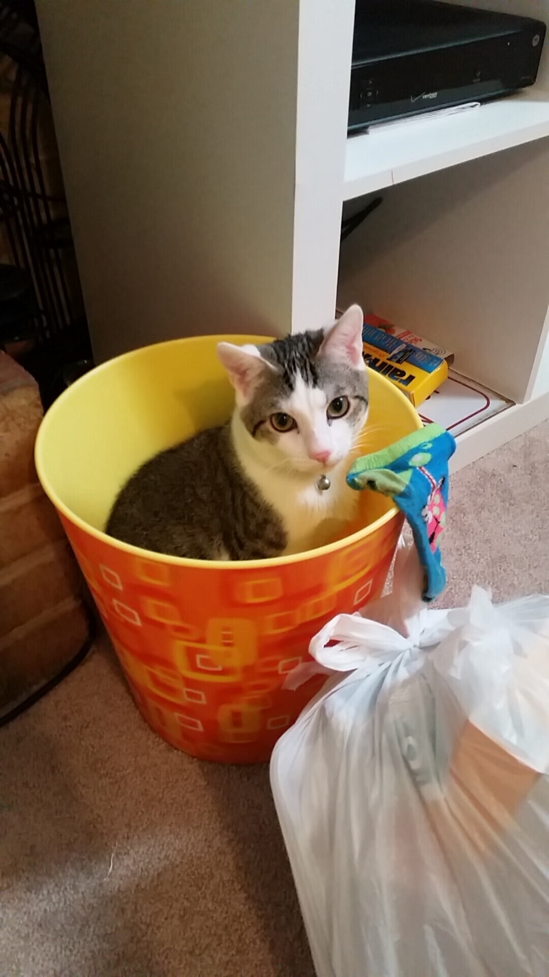 中国篮球运动群众基础调查，中国从事篮球运动的人口数量