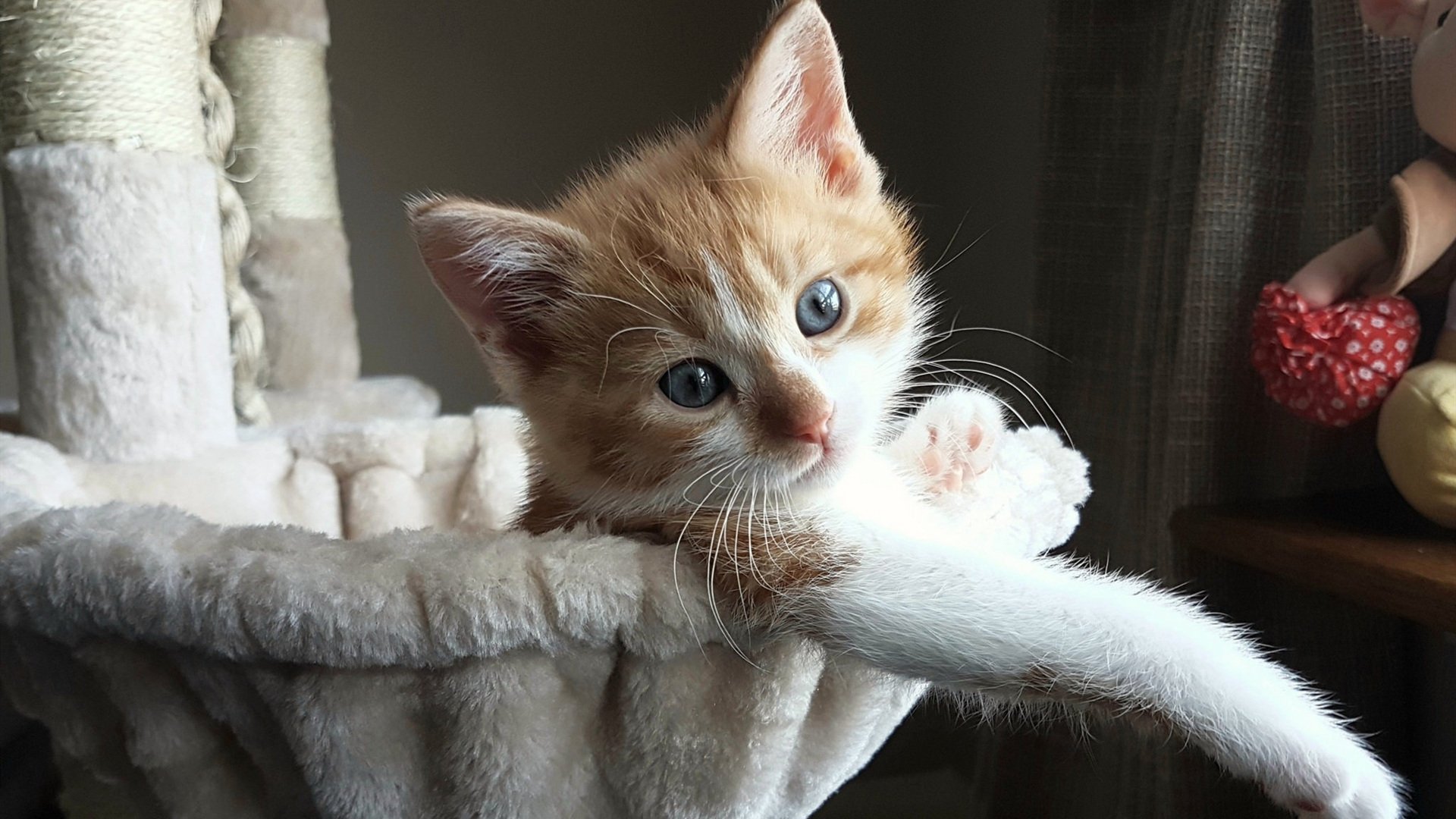 巴特勒再发力热火主场连胜，巴特勒多少钱签约热火