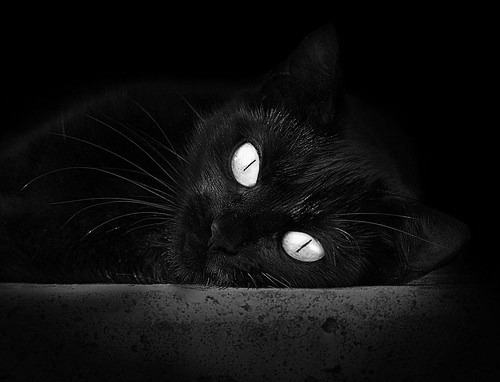 掘金绝杀雷霆，关键一役中约基奇三分雨不断，掘金球员约基奇