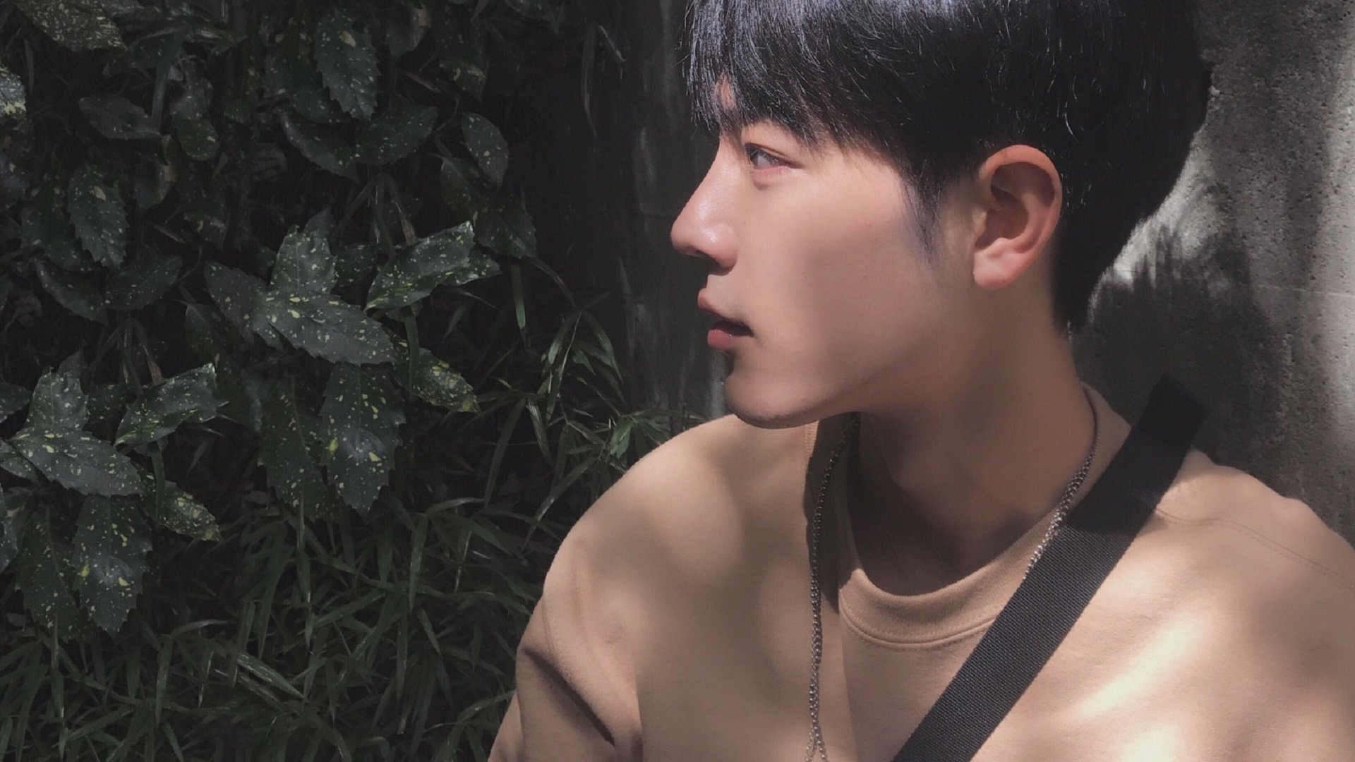 皇家马德里俱乐部签约法国前锋，引发球迷热议，皇家马德里队排名