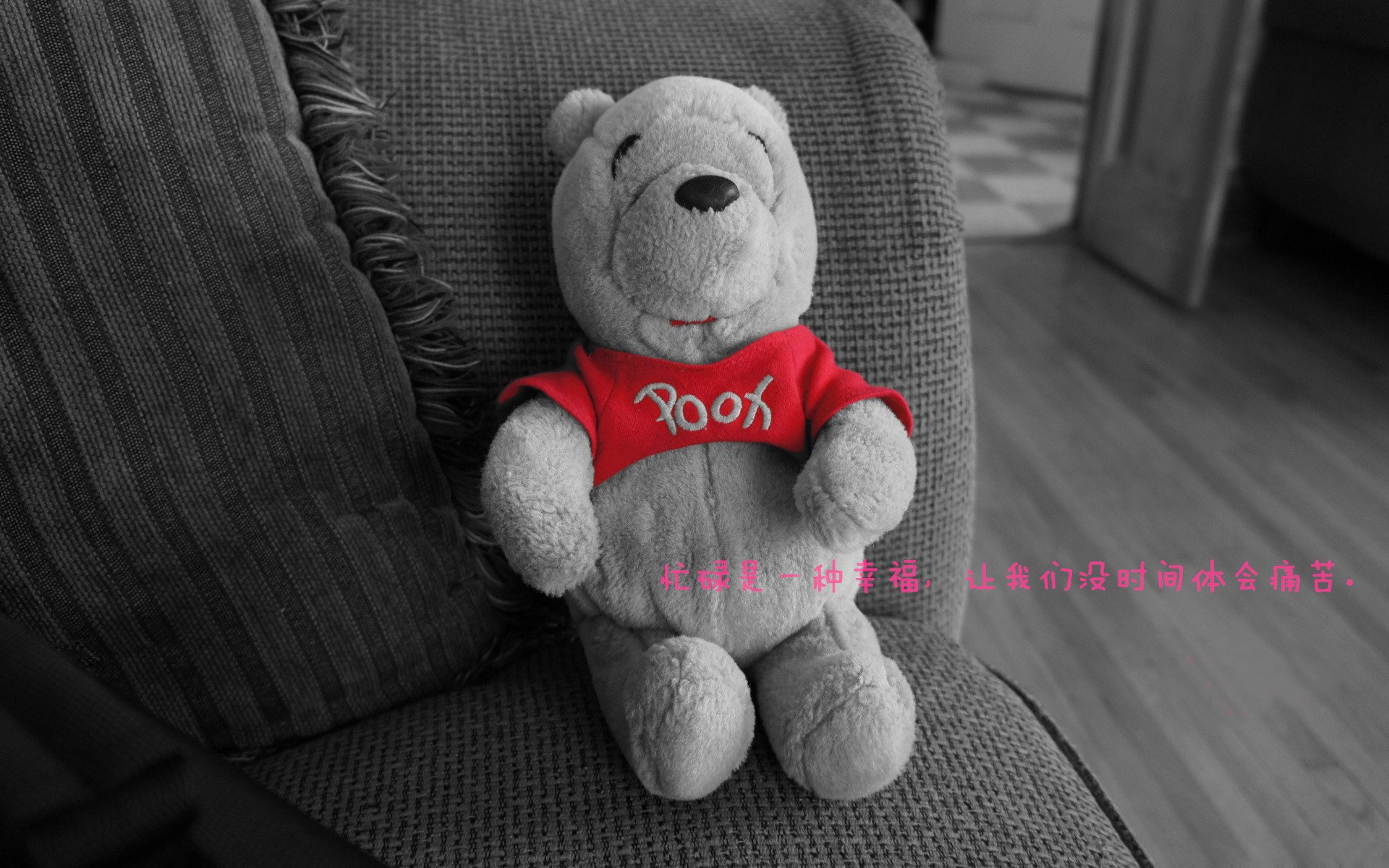 维达德卡萨布兰卡主帅谈战术调整，力求突破，达维德卡拉布里亚