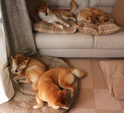 城市健身消费潜力与发展预测报告,健身市场分析报告