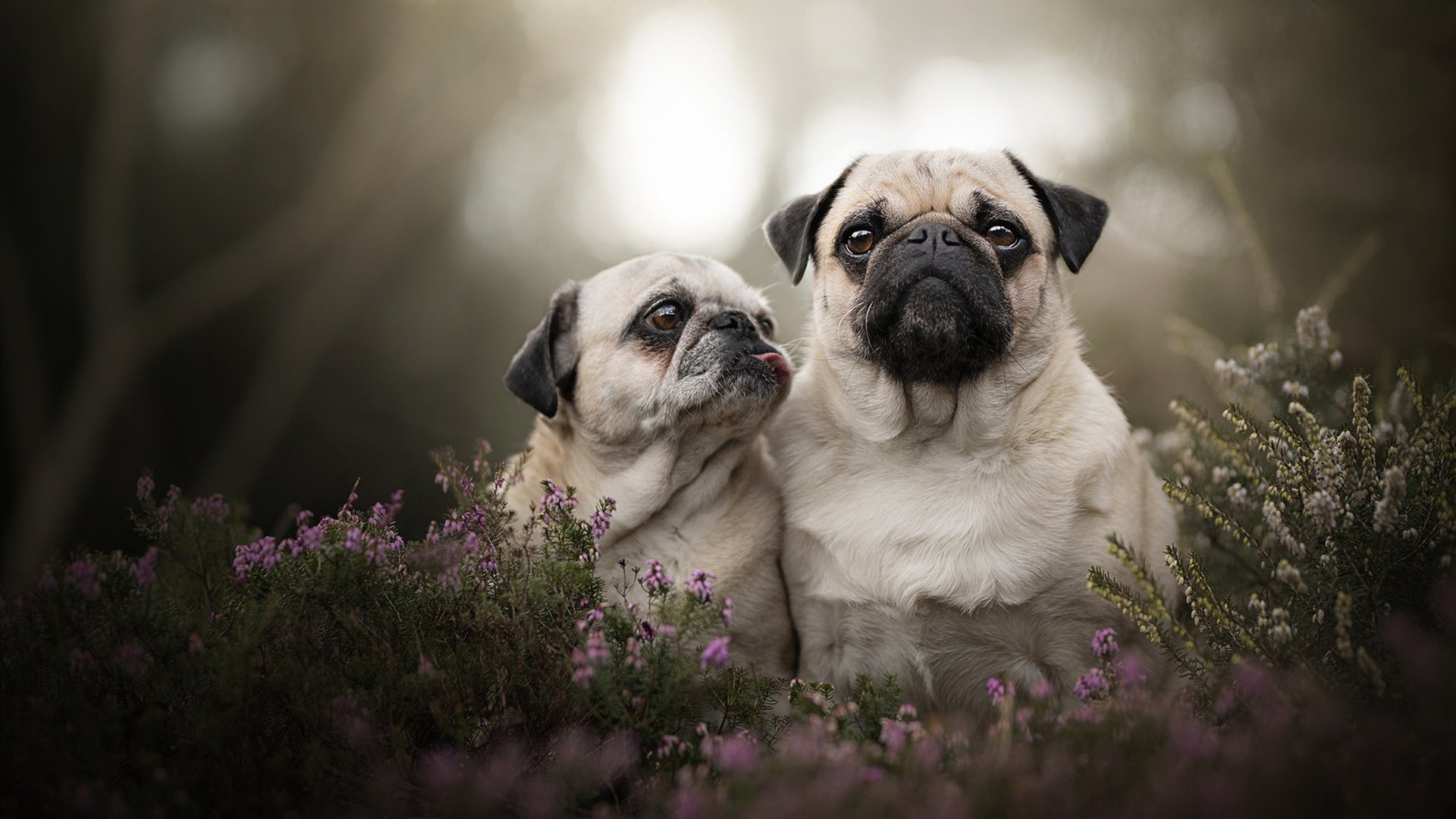 俱乐部人事更替频率影响技战术延续性