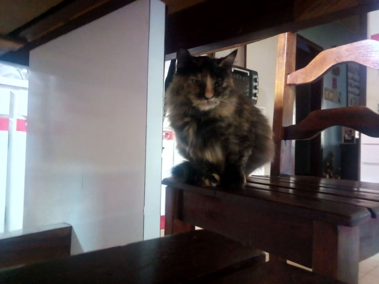 篮球场上拼搏精神成就球队真正底蕴，篮球拼搏精神文字