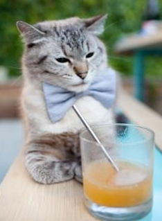 凯尔特人主帅分析球队防守提升的关键因素，18年凯尔特人防守效率