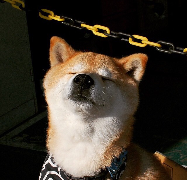 数据分析部门介入战术准备用科技赋能教练决策