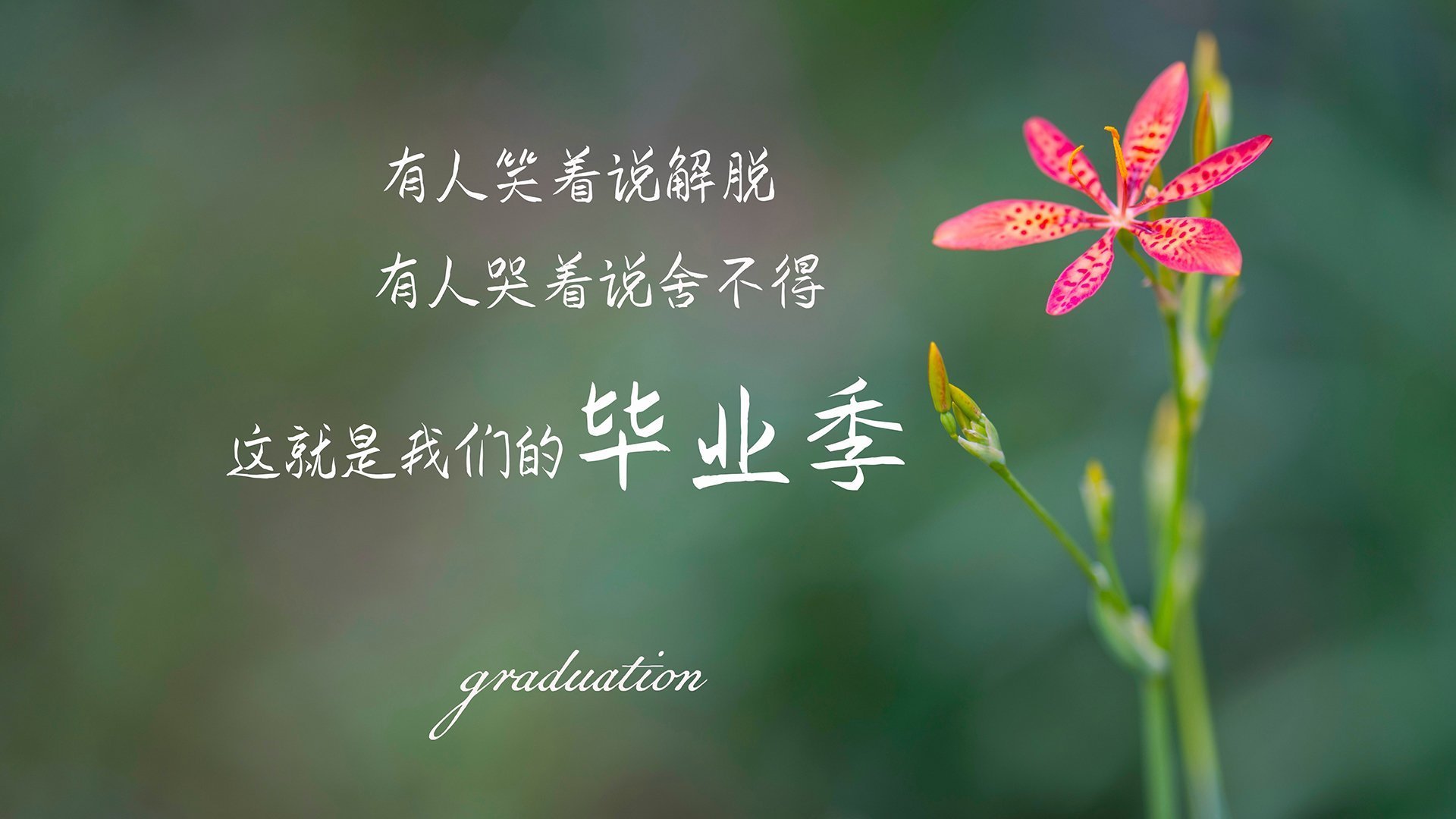 游泳选手技术动作流畅性增强，游泳选手是什么意思